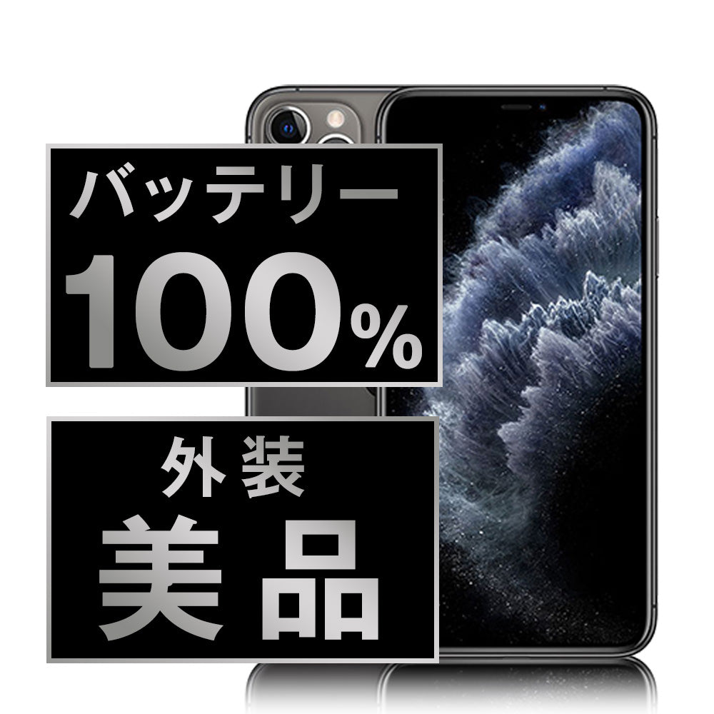 バッテリー100% iPhone11 Pro 256GB スペースグレイ Aランク 美品 SIMフリー