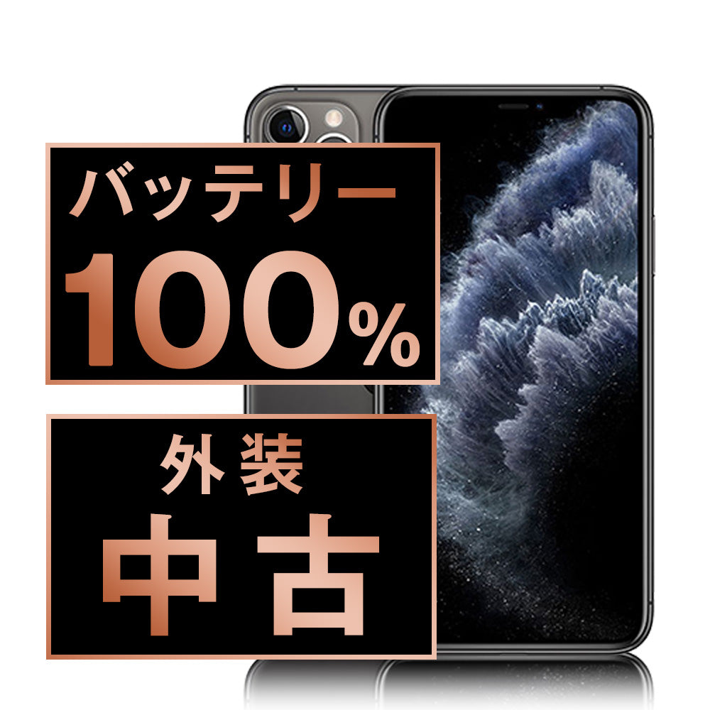 バッテリー100% iPhone11 Pro 256GB スペースグレイ Bランク SIMフリー